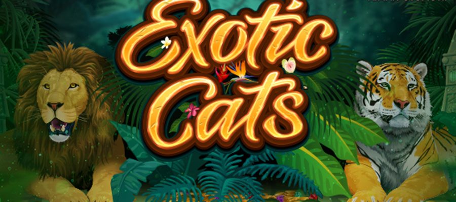 Rtp8000 Hadir di Exotic Cats Slot Seru, Hadiah Menanti!