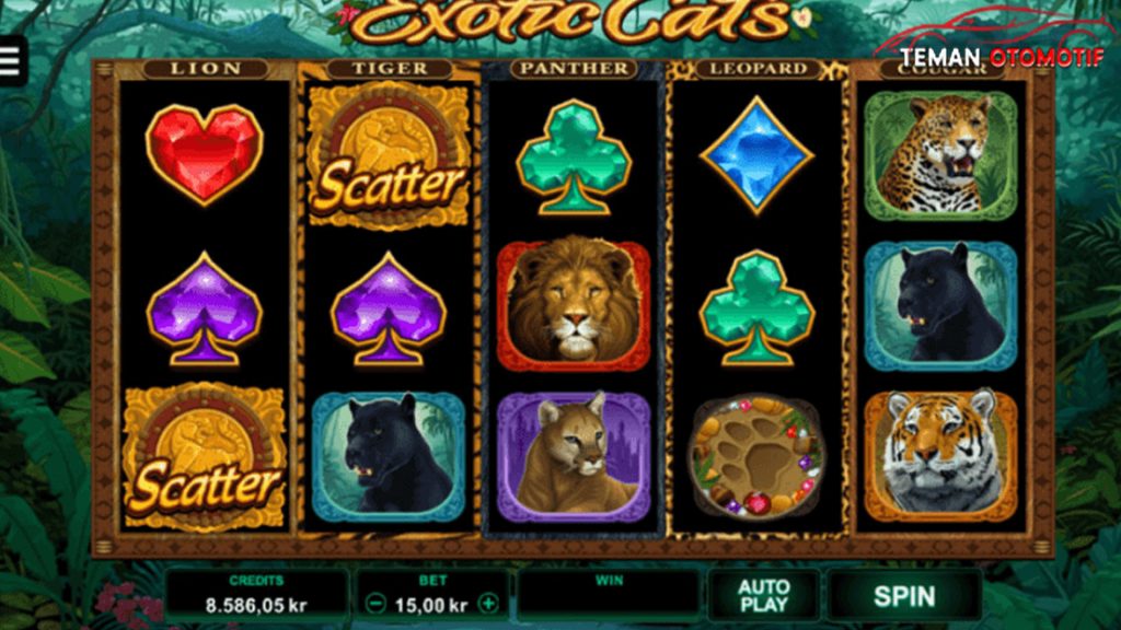 Rtp8000 Hadir di Exotic Cats Slot Seru, Hadiah Menanti!