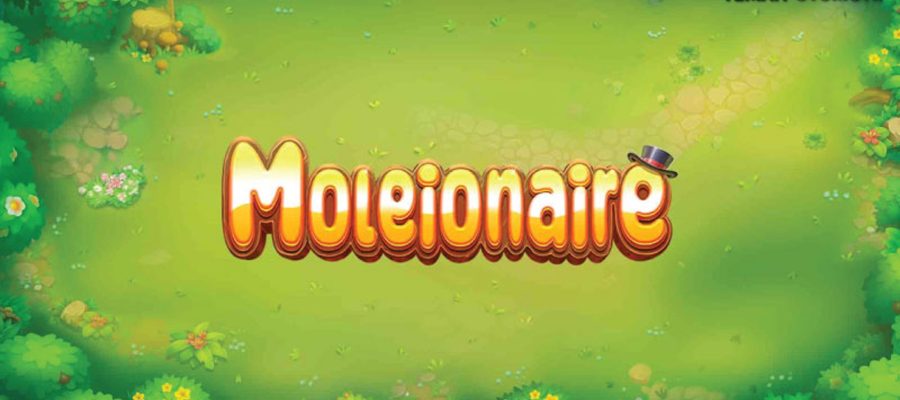 Moleionaire Nikmati di Rtp8000 Keseruan Tanpa Batas!