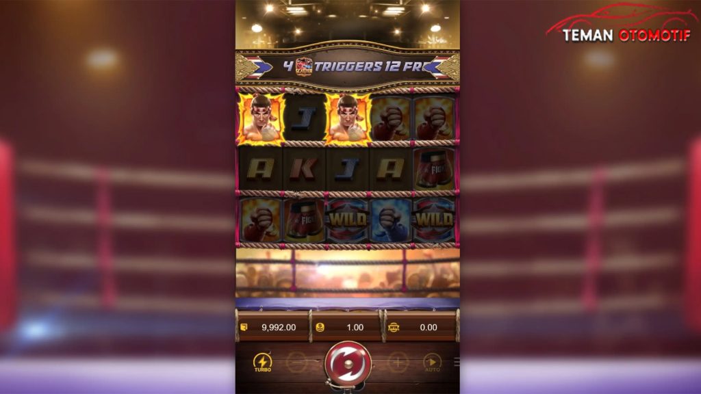Muay Thai Champion di Rtp8000, Slot Tinju Penuh Aksi!