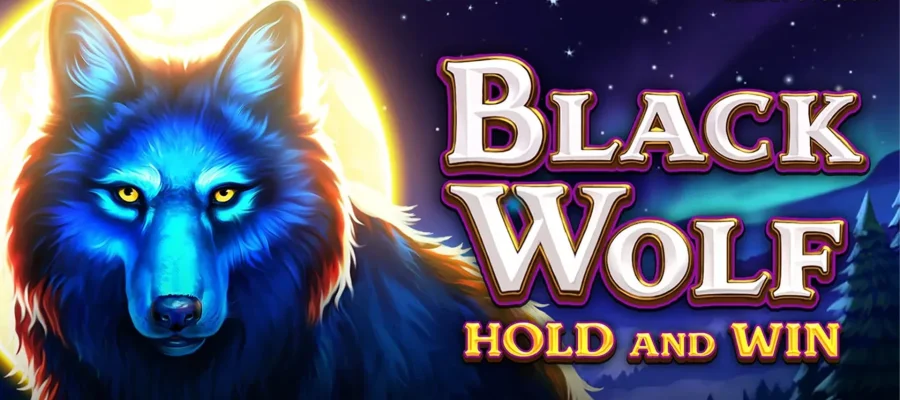 Ruby8000 lucu Black Wolf ke Level Slot Premium