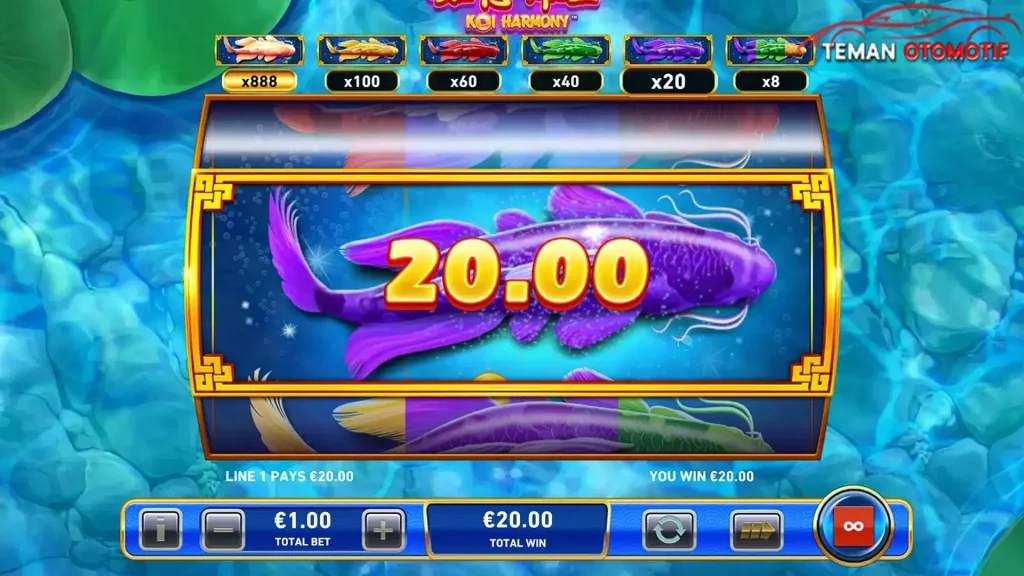 Koi Harmony Cinta Filosofi Nggak Nyangka Slot777
