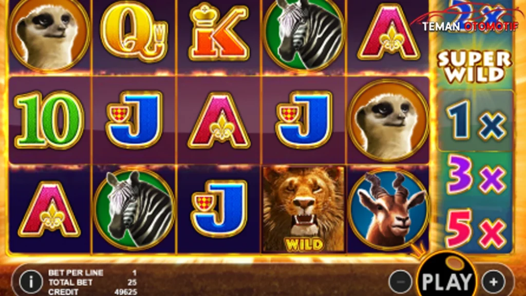 Safari Rush: 2 Demam Emas Asli di Tengah Afrika