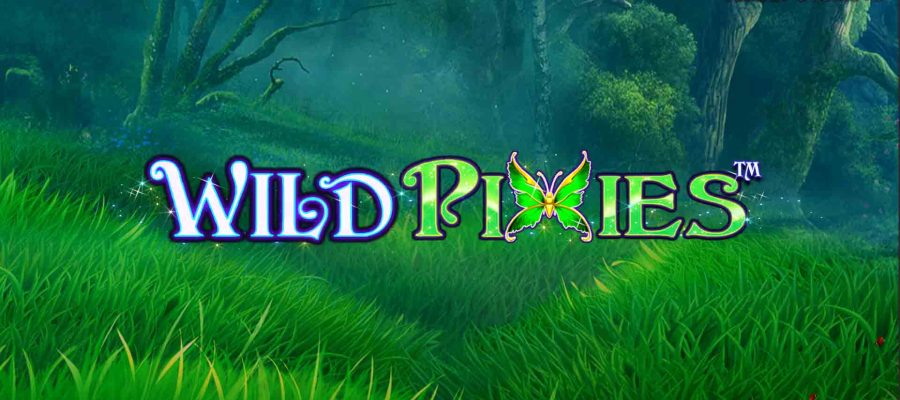 Wild Pixies Ajaib Baru yang Bikin 8 Terpesona