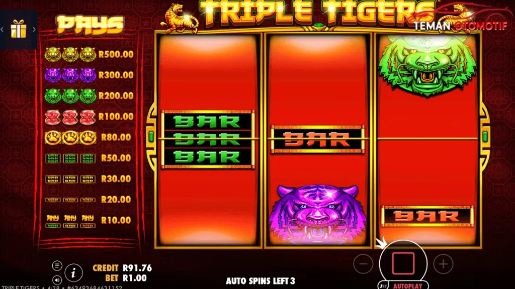 Triple Tigers Sampai Ketinggalan 203 Lawan Guys